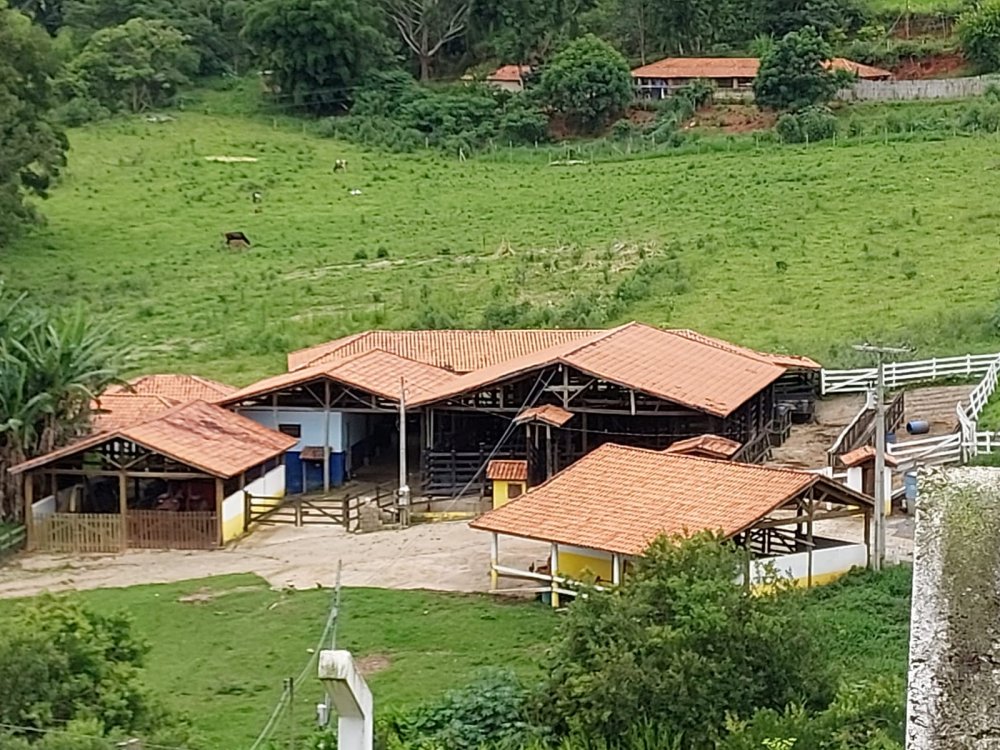 Stio - Venda - Campos Novos - Cunha - SP
